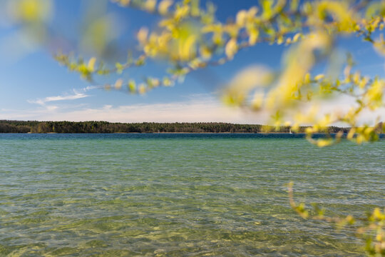 spring yellow flower with turquoise lake