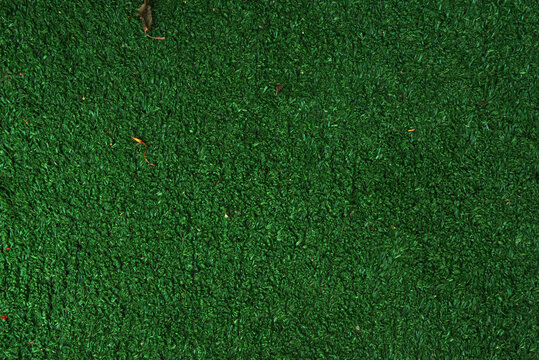 artificial synthetic green grass turf pattern texture background