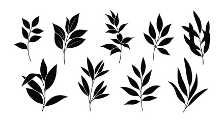 Fototapeta premium Collection of black silhouettes of leaves and branches on white background.