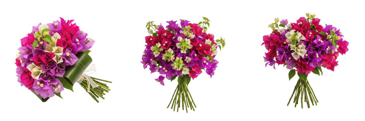 Bougainvillea bouquet isolated on white background, Bougainvillea glabra, pink bougainvillea,...