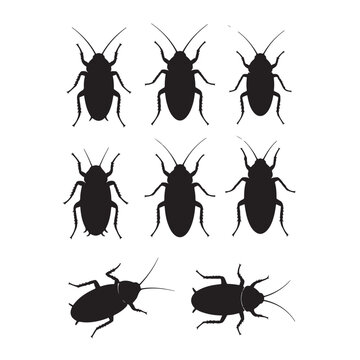 Cockroach Insect Silhouette Icon Set