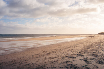 Obraz premium Sunny Winters Day Walk on Druridge Bay, Northumberland, February 2026