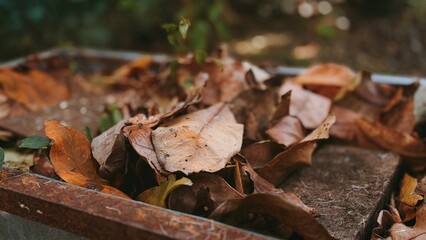 Textured pile of dry autumn leaves on rustic stone. Natural fall foliage in warm browns and oranges with blurred background.