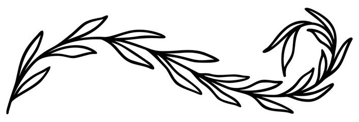 Fototapeta premium Botanical Border Element | Decorative Leafy Graphic | Vector
