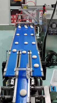 A high-angle timelapse of an automated conveyor system transporting raw dough balls for steamed buns in a modern food processing factory in China.