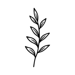 Obraz premium Hand drawing Leaf Vector