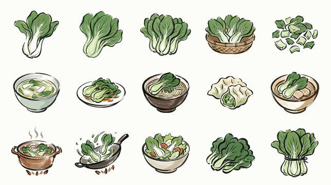 A vibrant collection of illustrations showcasing various forms of bok choy, from whole vegetables to prepared dishes, highlighting its versatility in culinary applications.