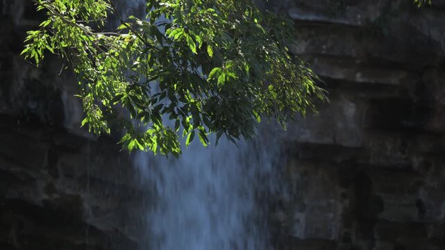 Waterfall in Izu peninsula, Shizuoka Prefecture, Japan