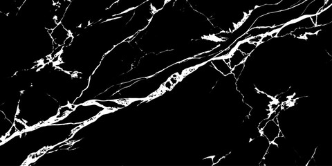 Ebony Veins: A striking, high-contrast image showcasing the intricate, natural patterns of a marble slab. The dark surface is elegantly veined with striking white lines. © Sadiya