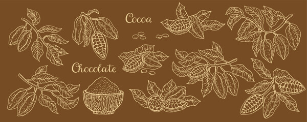 Cocoa pods set in sketch style. Ink engraving cacao fruits, plants and branches on brown background. For milk chocolate food background, cocoa powder packaging design.
