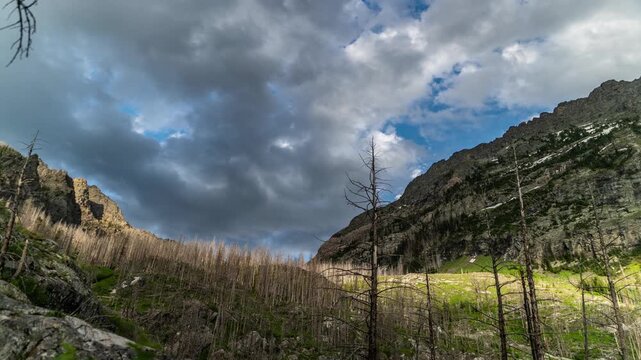 Clouds rolling over a rocky ridge and a slope of burned dead trees and green grass, Pine Creek, Montana, time lapse