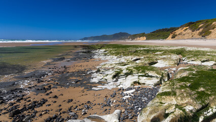 Obraz premium Oregon coast beach showing mossy rocks and Pacific Ocean