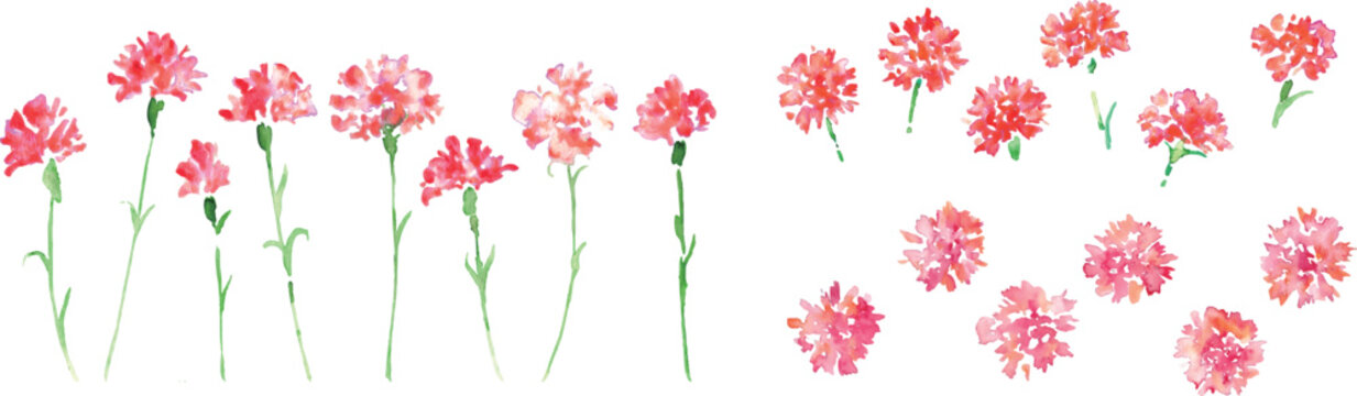 水彩画。水彩タッチのカーネーションベクターイラスト。母の日のカーネーション背景。
Watercolor painting. Watercolor carnation vector illustration. Carnation background for Mother's Day.