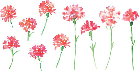 水彩画。水彩タッチのカーネーションベクターイラスト。母の日のカーネーション背景。
Watercolor painting. Watercolor carnation vector illustration. Carnation background for Mother's Day.