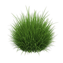 Clump of green grass isolated on transparent background