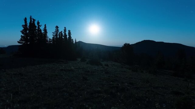 Bright moon rising in a blue sky over silhouetted trees and a mountain ridge, Big Snowy Mountains, Montana, time lapse