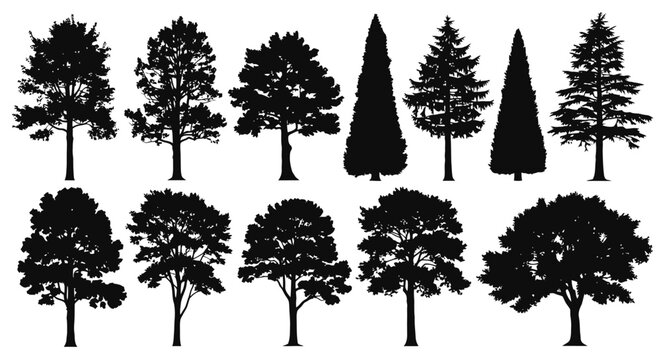 Collection of diverse black silhouette trees against a white background