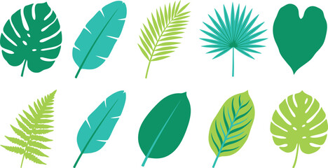 Tropical foliage elements with monstera banana leaf palm frond philodendron in emerald green turquoise lime for lush botanical branding design © Madhuka Disanayaka