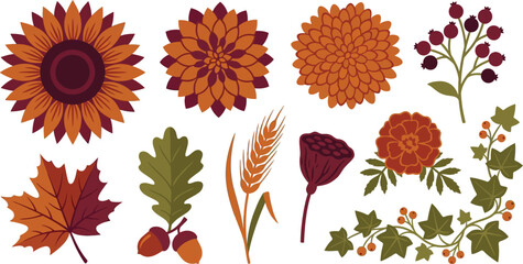 Autumnal floral harvest elements with sunflower dahlia chrysanthemum berries maple in burnt orange deep burgundy olive green for fall seasonal branding design © Madhuka Disanayaka