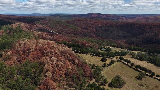 Burnt hills overview. Landscape view of charred terrain and new growth