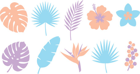 Modern tropical botanical illustrations with monstera palm hibiscus plumeria in trendy pastel peach lavender sky blue for contemporary floral branding design © Madhuka Disanayaka