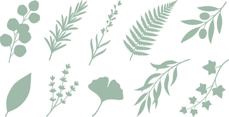 Elegant foliage herb elements with eucalyptus rosemary lavender fern olive in dusty mint soft sage pale lavender for soothing botanical branding design © Madhuka Disanayaka