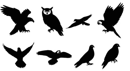 Fototapeta premium Diverse Collection Of Bird Silhouettes Including Eagle Owl And Parrot