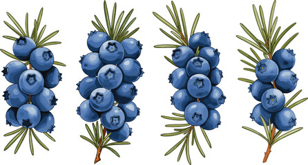 Sustainable solar energy panels on roof under blue sky, renewable green power technology, environmental conservation, clean electricity, alternative energy, sustainability