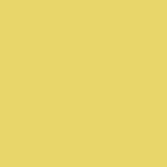 Fototapeta premium Solid colour Background yellow