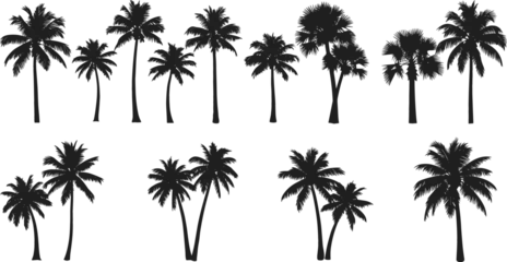 Set of tropical palm tree silhouettes collection isolated on white background, exotic summer nature elements for beach design, travel themes, decoration and landscape vector illustration © Rifat