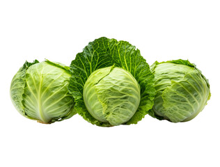Fototapeta premium Three Fresh Green Cabbage Heads on Neutral Gray Background Symbolizing Natural Health and Simple Culinary Elegance