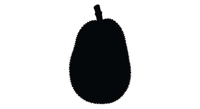 Silhouette of a jackfruit against a stark white background