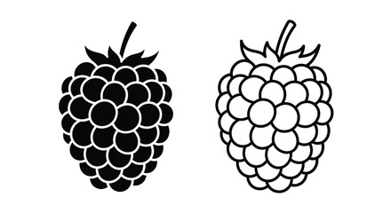Two raspberries one dark and one light in a simple graphic style © Gahima