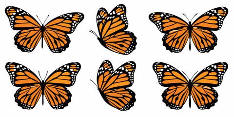 A collection of monarch butterflies in various flight and resting poses © BelaRani