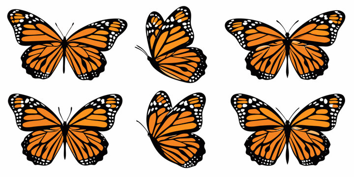 A collection of monarch butterflies in various flight and resting poses
