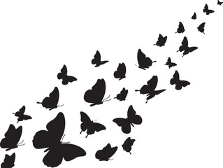 A flock of butterflies flying in formation together freely