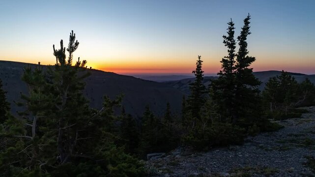 Sun rising with a sunstar behind pine trees on a mountain ridge, Big Snowy Mountains, Montana, time lapse