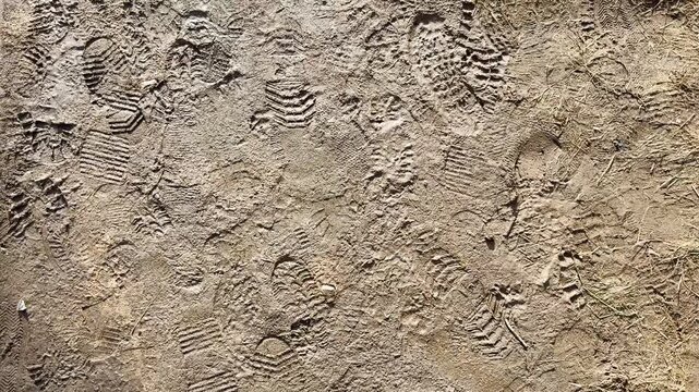 Footprints from boots and shoes on wet ground, background with pedestrian traffic texture and surface simulating outdoor dirt