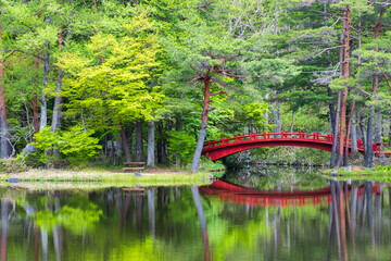 庭園　池　新緑