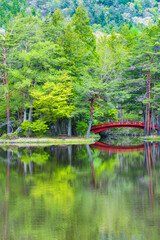 庭園　池　新緑