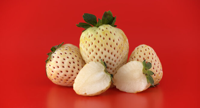 Unique white pineberries with red seeds on a vibrant red background