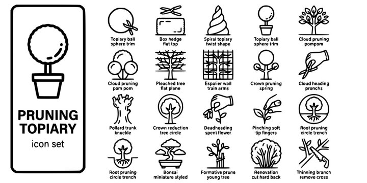 Pruning Topiary Bold Line Icons-Topiary Ball Box Hedge Spiral Topiary Cloud Pruning Pleached Tree Espalier Pollard Crown Reduction Deadheading-15 Pruning Icon Set Vector - Topiary Icons