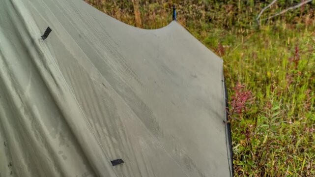 Close up of a tent fly drying in the sun beside fireweed and grass at a backcountry camp, time lapse