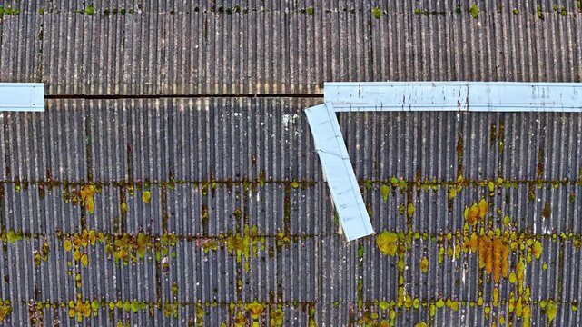 Aerial top-down view of a tiled roof with white edge lines and mossy patches, possibly showing part of a pavement or street, captured by drone.