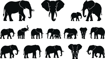 Elephant silhouette collection with African elephant poses including walking standing family and front view isolated wildlife vector illustration set © Heyyy