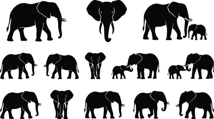 Elephant silhouette set with African elephant poses including walking standing family and front view isolated wildlife vector illustration © Heyyy