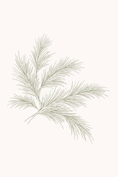 minimalist pine branches