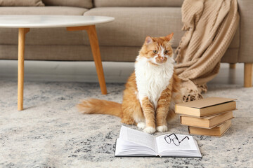 Cute cat with books on carpet at home