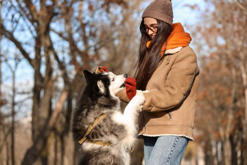 Beautiful young woman playing with cute husky dog in autumn park © Pixel-Shot