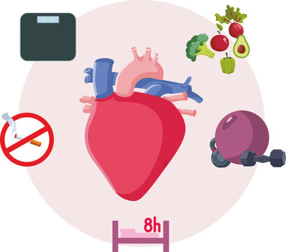 Heart Health and Healthy Lifestyle Concept Illustration. Cardiovascular Disease and Atherosclerosis Prevention Infographic 